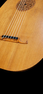 1924 Hermann Hauser 6-string Lute Guitar