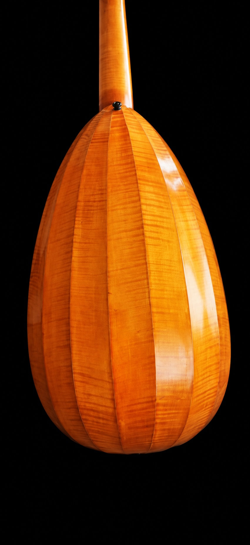 1924 Hermann Hauser 6-string Lute Guitar