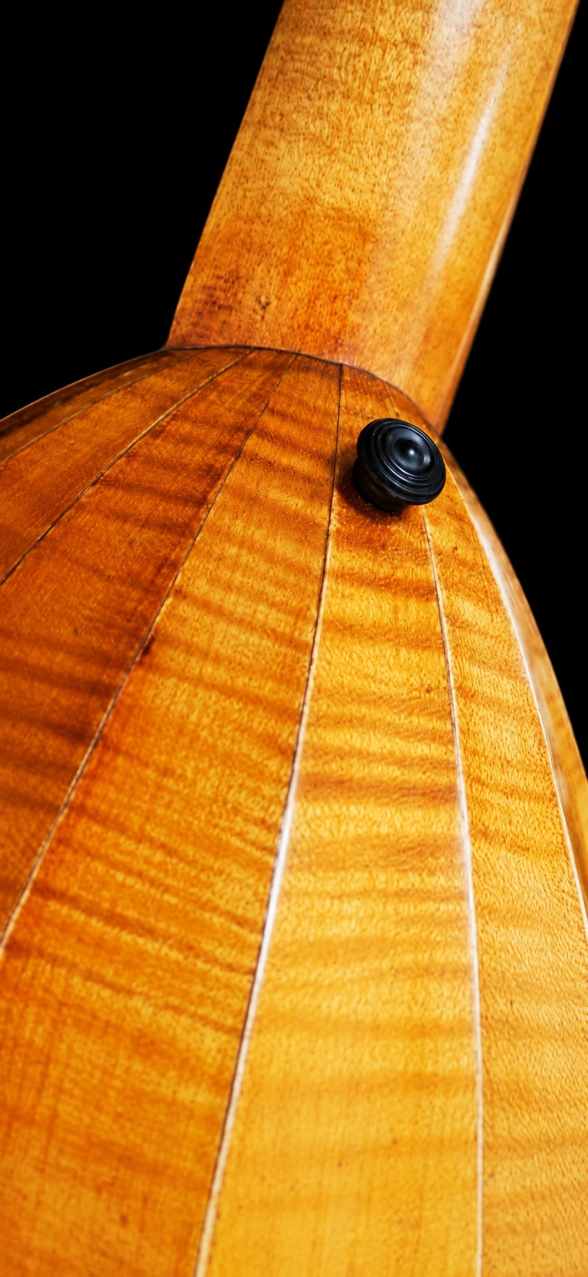 1924 Hermann Hauser 6-string Lute Guitar