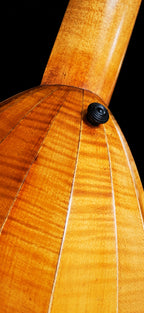 1924 Hermann Hauser 6-string Lute Guitar
