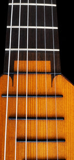 1924 Hermann Hauser 6-string Lute Guitar