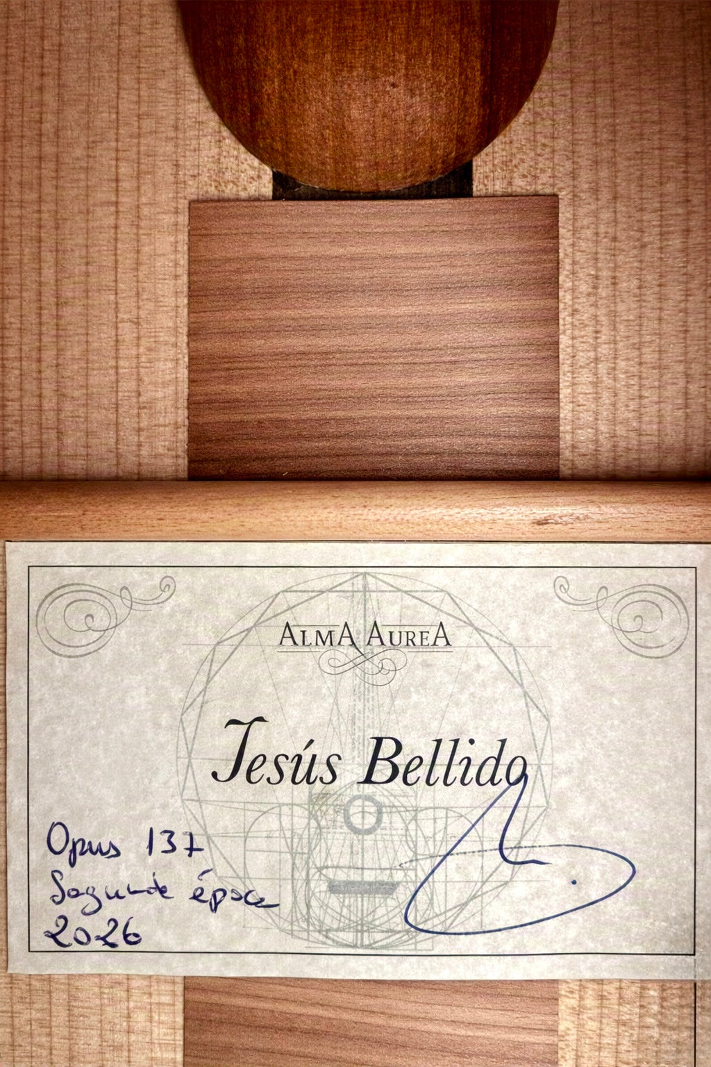 2026 Jesus Bellido Model Alma Aurea flamenco guitar