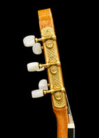 Jesus Bellido Model Alma Aurea Concert Classical Guitar