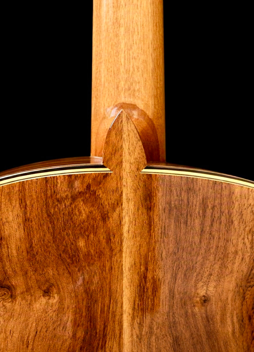 Jesus Bellido Model Alma Aurea Concert Classical Guitar
