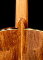 Jesus Bellido Model Alma Aurea Concert Classical Guitar