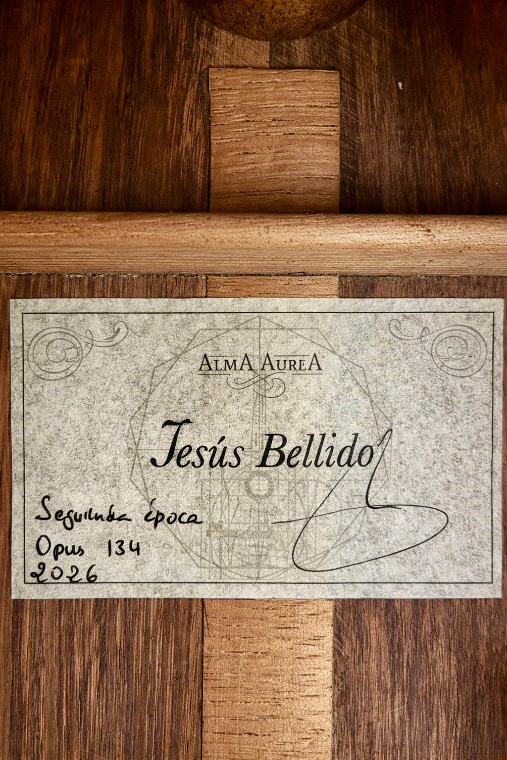 Jesus Bellido Model Alma Aurea Concert Classical Guitar
