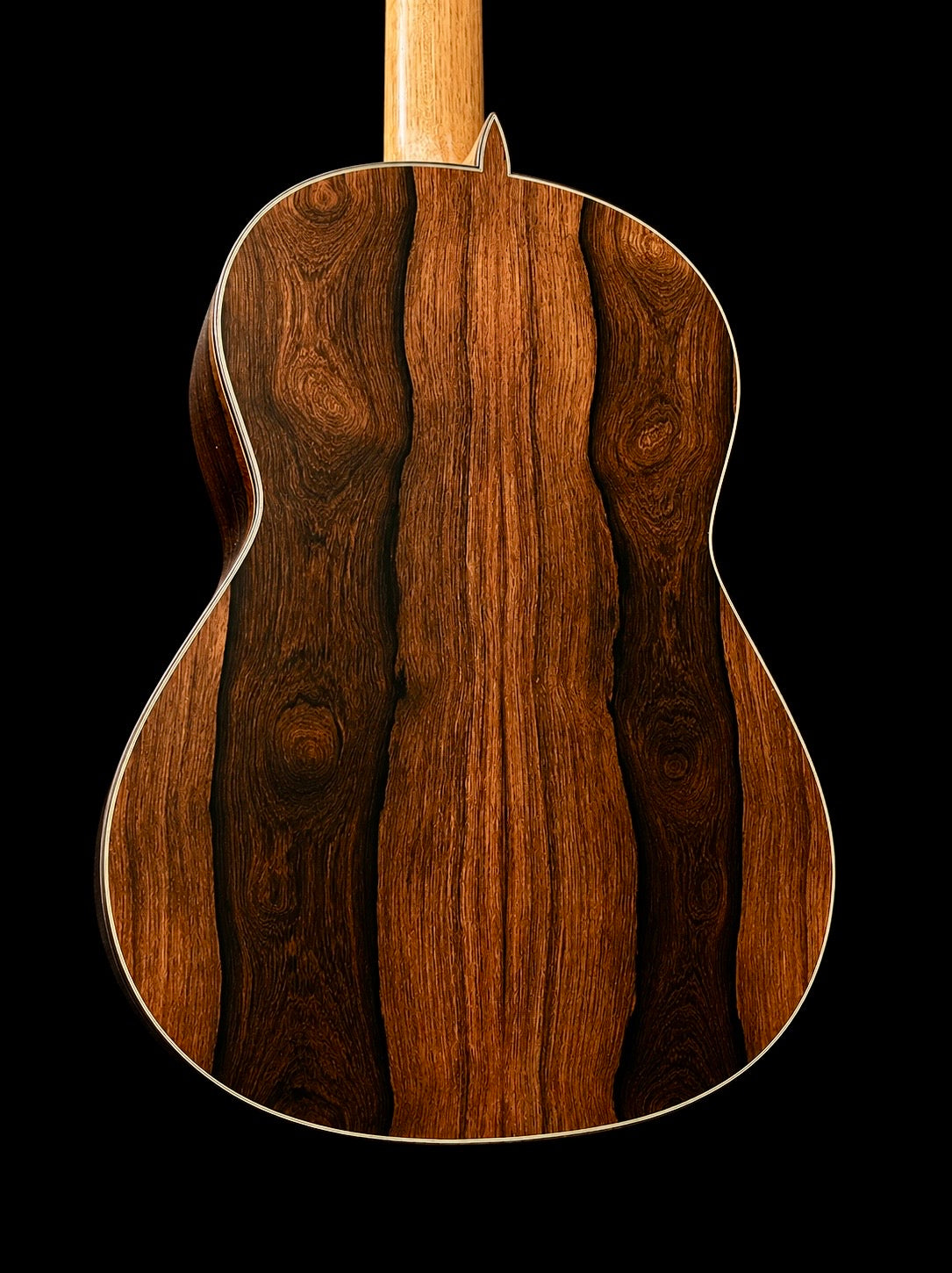 2026 Paulino Bernabe PB Concierto Classical Guitar