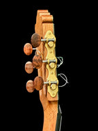 2026 Paulino Bernabe PB Concierto Classical Guitar